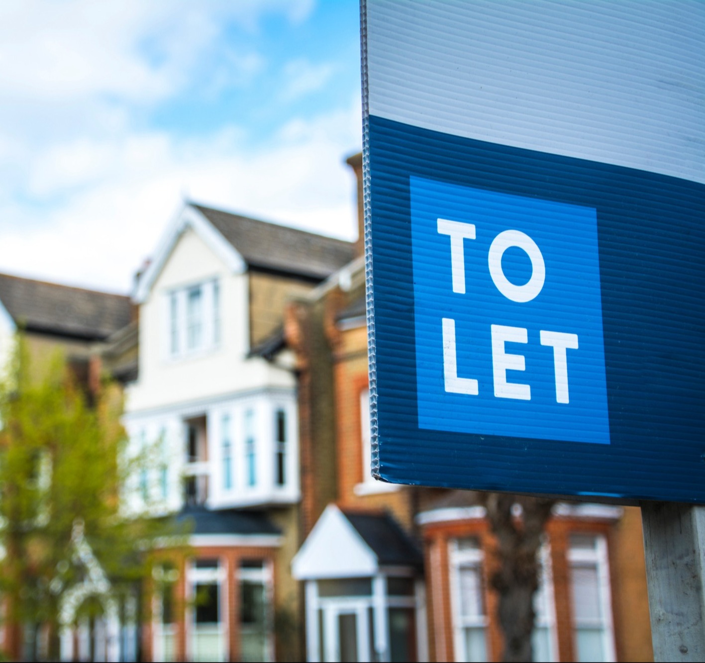 To Let sign in a neighbourhood with houses in the background