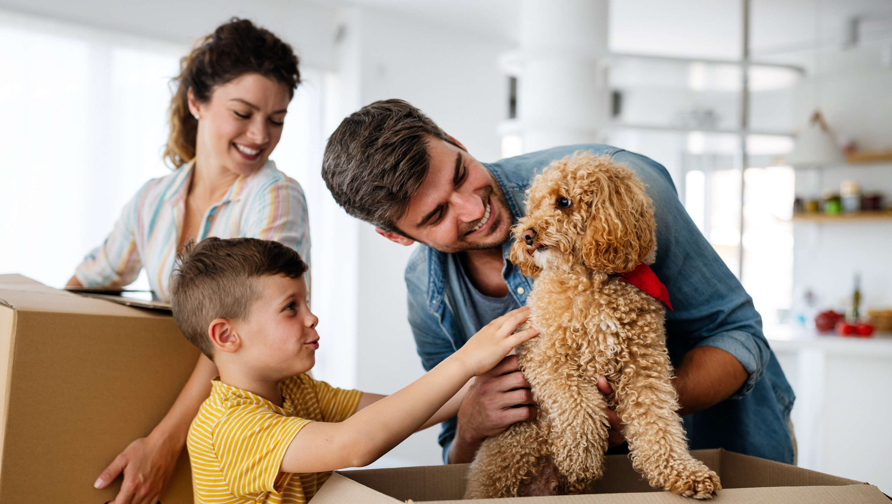 A couple with their son and dog moving in a new home