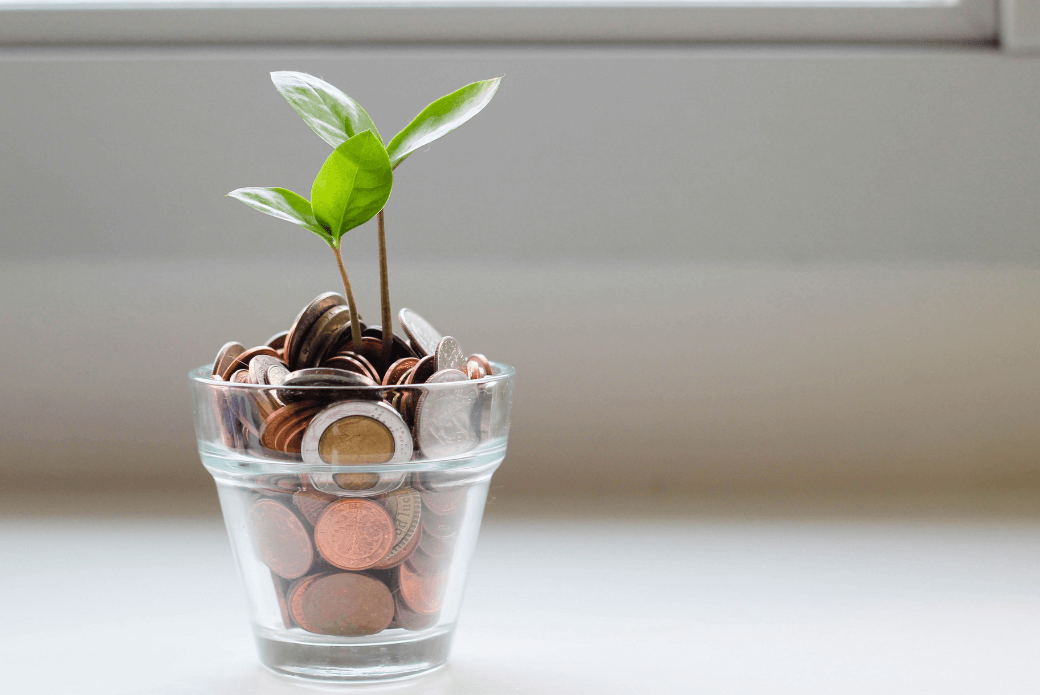 Green plant in clear glass cup